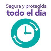 Icono ultra seca y protegida