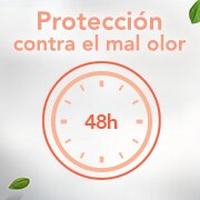 48 horas de protección 48 horas de protección