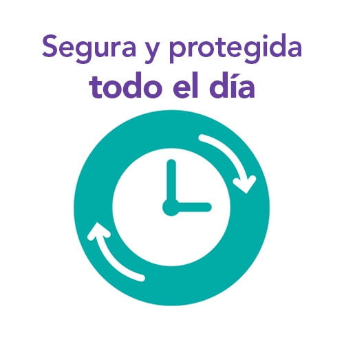 segura y protegida