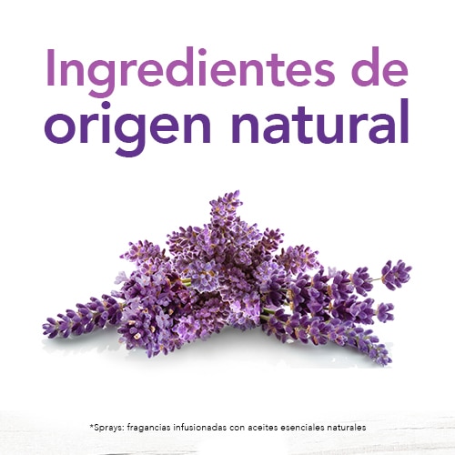 Lavanda, ingrediente de origen natural